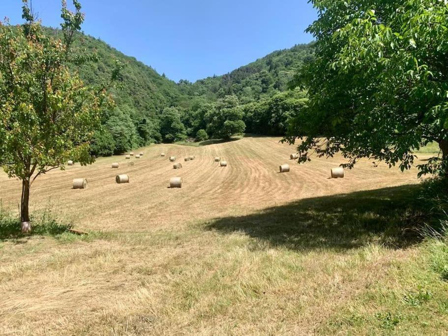 Casa Al Castagneto Villa Ceniga Dış mekan fotoğraf